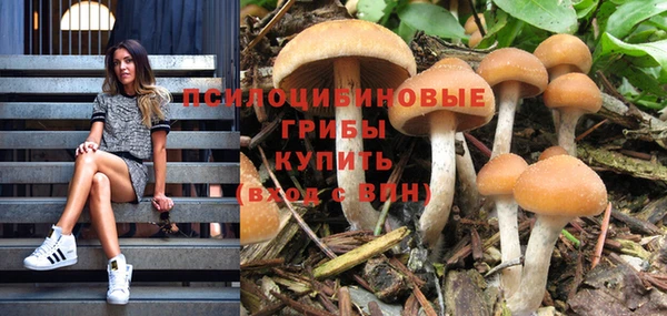 амф Белокуриха