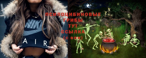 амф Белокуриха