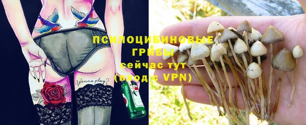 гидропоника Беломорск