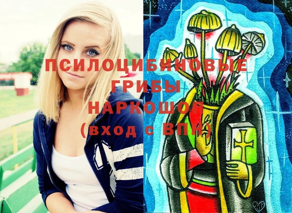амф Белокуриха