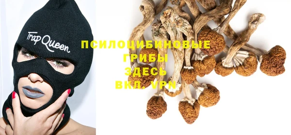 гидропоника Беломорск